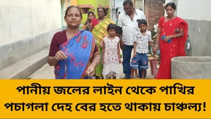 হুগলি: পাইপের ভিতর পচাগলা দেহ! সেই জলই খাচ্ছিল সবাই!!