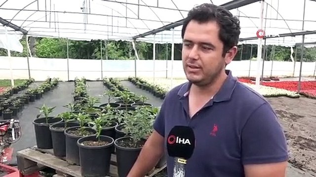 Topraksız Tarımla Yüzde 50 Daha Fazla Verim Elde Ediliyor