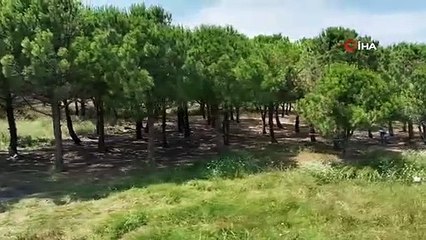 Tatilcilerden geriye çöp yığını kaldı