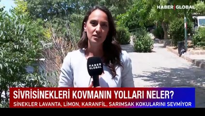 下载视频: Tapuda yeni dönem bugün başlıyor! Noterden gayrimenkul satışı nasıl olacak?