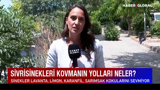 Tapuda yeni dönem bugün başlıyor! Noterden gayrimenkul satışı nasıl olacak?