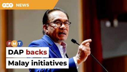 Download Video: DAP has never questioned programmes for Malays, Islam, says Anwar