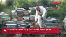 Bursa'da ilginç hırsızlık...Arıları kovanlarıyla birlikte çaldılar