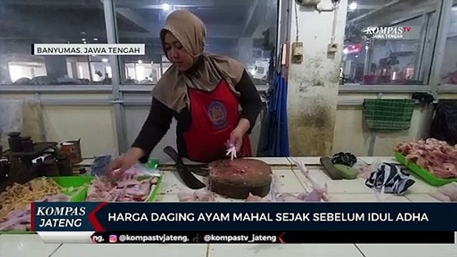 Harga Daging Ayam Mahal Sejak Sebelum Idul Adha