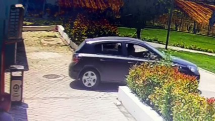 KÖPEKLERİ ÇALDIKTAN SONRA BELEDİYENİN KLİNİĞİNDE AŞI YAPTIRMIŞLAR