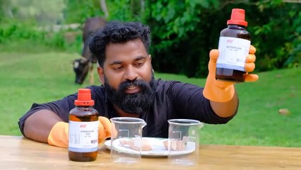 Chicken Vs HCL & H2SO4 _ കോഴി ഇറച്ചി അസിഡിൽ മുക്കിയപ്പോൾ _ M4 Tech _