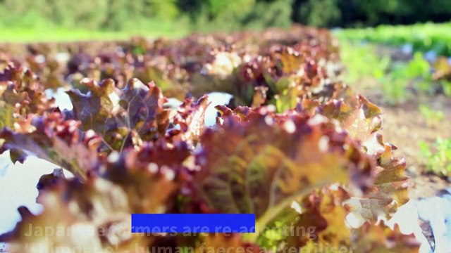 As prices soar, Japan returns to human waste fertiliser