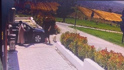 Bayramdan beri kayıp olan cocker cinsi 2 köpeği alanlar kliniğe götürüp aşı yaptırmış