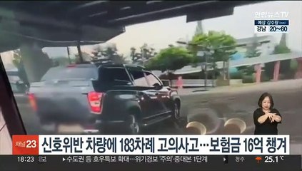 신호위반 차량에 183차례 고의사고…보험금 16억 챙겨