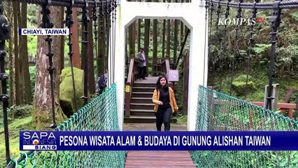 Pesona Wisata Alam dan Budaya di Gunung Alishan Taiwan