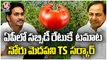 AP Govt Gives Tomatoes For Subsidized Rate , TS Govt Not Responding On Tomato Price Hike | V6 News