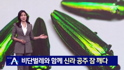 영롱한 비단벌레와 함께 신라 공주 잠 깨다
