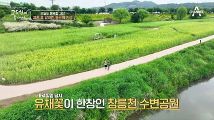 많은 것이 부담이었던 양동근의 배우 생활(ㅠ_ㅠ) '가족의 힘'으로 180도 바뀐 동근의 인생
