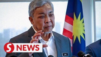 Action must be taken against NRD ‘bad apples’, says Zahid