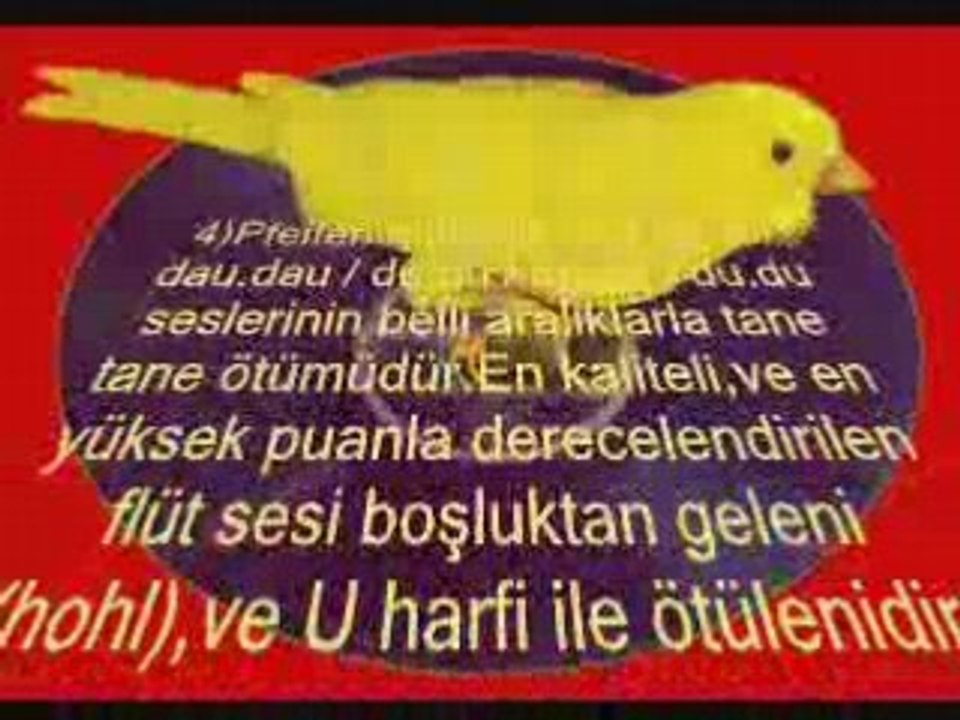 Dunya Şampiyonu Harzer