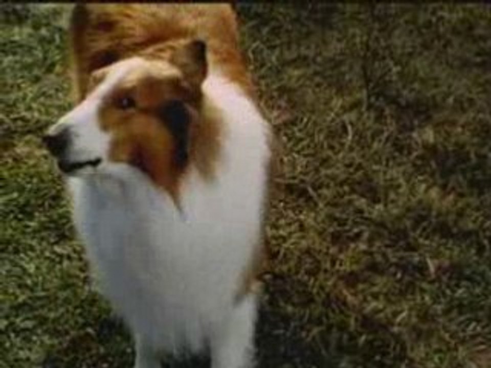Lassie (1994)