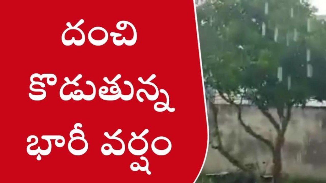 బుచ్చయ్యపేట: దంచి కొడుతున్న భారీ వర్షం
