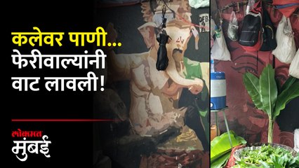 दादरच्या पुलावरची कलाकृती फेरीवाल्यांमुळे झाली भकास