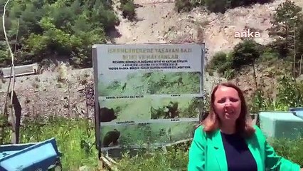 İkizdere'deki Taş Ocağına Karşı Mücadele Devam Ediyor