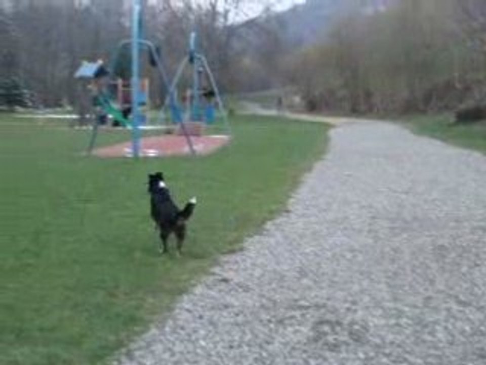 course cheyenne