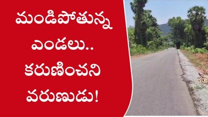 మండిపోతున్న ఎండలు..కరుణించని వరుణుడు!