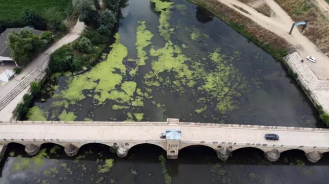 Tunca Nehri'nde su seviyesi yarıya düştü, yüzeyi ot ve çöple kaplandı