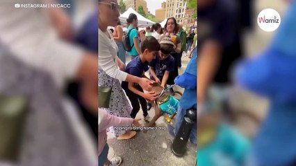 Une famille vient pour adopter un chiot de refuge, et la situation prend un tournant inattendu (vidéo)