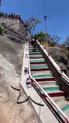 Bicyclist Fails to Make It Down Stairs