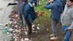 Fishing Boats Rescue Livestock Trapped By Flooding