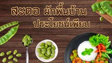 สะตอ ผักพื้นบ้านประโยชน์เพียบ