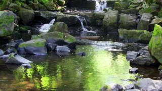 1 Hour of Gentle Sounds of Soothing Water Stream: Nature Sounds for Sleeping, Meditation, Relaxation, Study, Focus