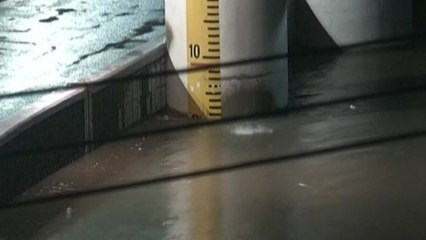 [날씨] 불광천 수위 상승에 한때 증산교 하부도로 전면통제 / YTN