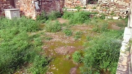 जिन भामाशाह ने सबकुछ समर्पित कर दिया, उनकी ही हवेली की अब हो रही दुर्दशा