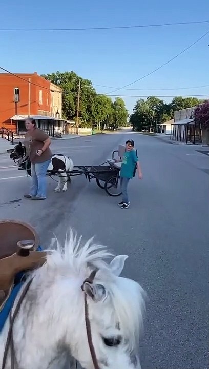 Pony-Pulled Cart Blunder