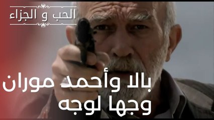 بالا وأحمد موران وجها لوجه | مسلسل الحب والجزاء  - الحلقة 19