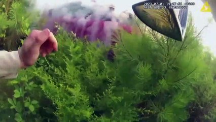 Resgate heróico de carro em chamas