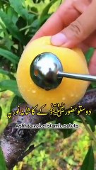 #ytshort_حضور_اپنی_امت_کے_لیے_بھی_قربانی_کیا_کرتے_تھے#youtube_#viral(360p)