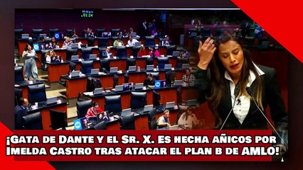 Download Video: ¡VEAN! ¡Gata de Dante y el Sr. X. Es hecha añicos por Imelda Castro tras atacar el ‘plan b’ de AMLO!