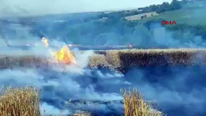 Tekirdağ'da 60 Dönüm Ekili Buğday Yangında Yandı