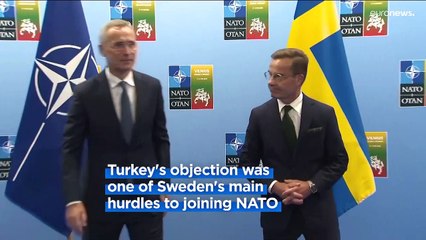 Turkey's President Erdogan gives green light to Sweden's NATO bid, says Stoltenberg
