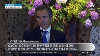IAEA “오염수 문제 없다”…기시다 결정만 남았다
