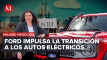 Luz Elena Castillo, presidenta y CEO de Ford México, Puerto Rico y Caribe | Milenio Negocios