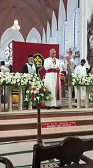 മൈലാപൂർ ബസലിക്കയിൽ