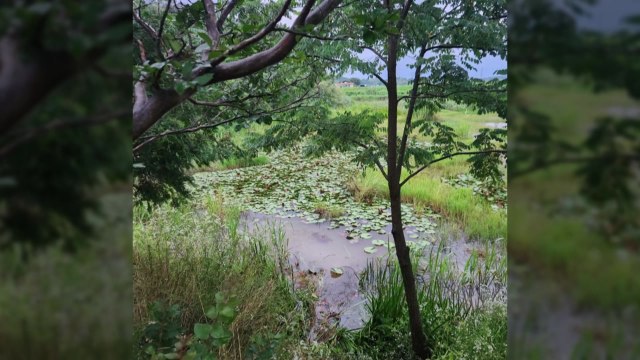 충남 부여 저수지에서 물에 빠진 50대 남성 숨진 채 발견 / YTN