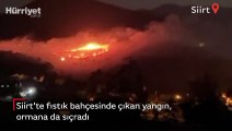 Siirt'te fıstık bahçesinde çıkan yangın, ormana da sıçradı