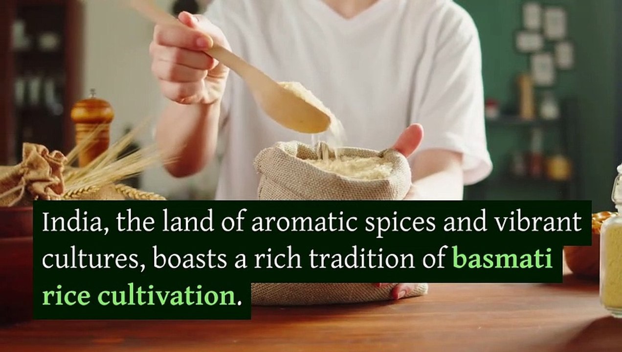 Best Basmati Rice Exporters: Unleashing The Flavors Of Sella Basmati Rice From India