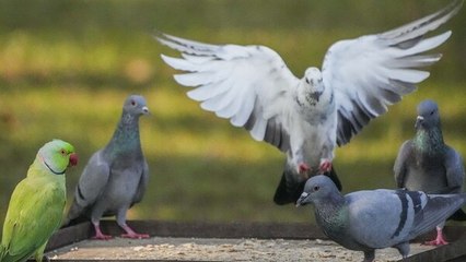 Delhi Weather Today: दिल्ली में जमकर होगी बरसात, पूरे हफ्ते भीगी-भीगी रहेगी राजधानी