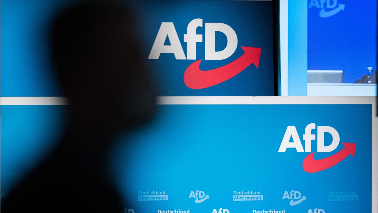 Umfragen: AfD bei 19 bis 21 Prozent