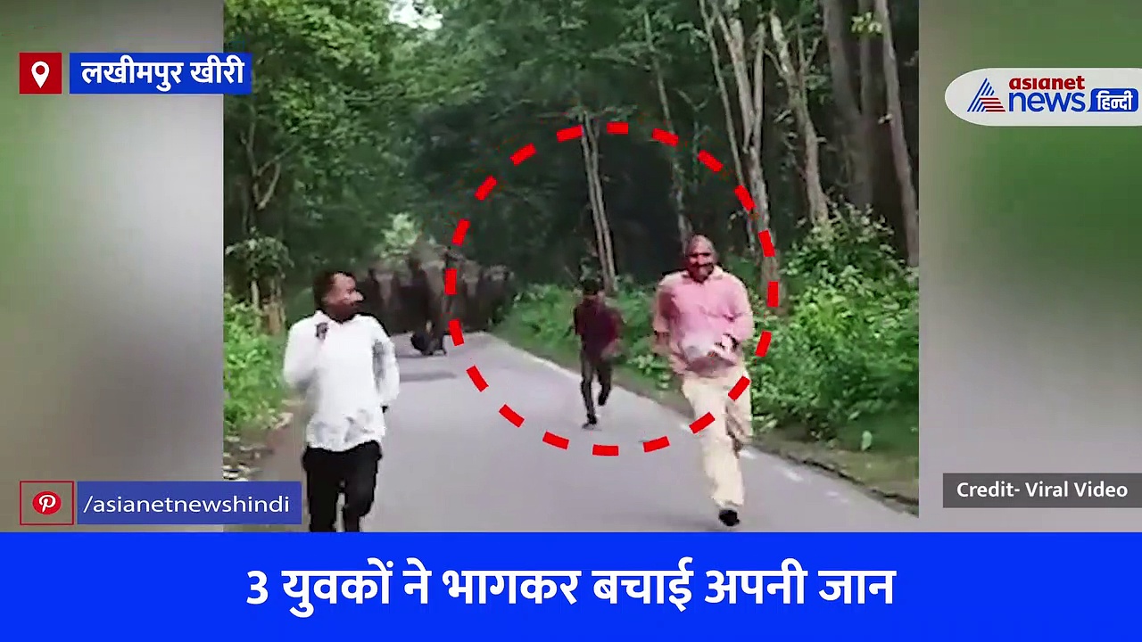 लखीमपुर खीरी: सेल्फी के चक्कर में आफत में पड़ी जान, हाथियों ने दौड़ाया तो गिरते-पड़ते भागे लोग, देखें वीडियो