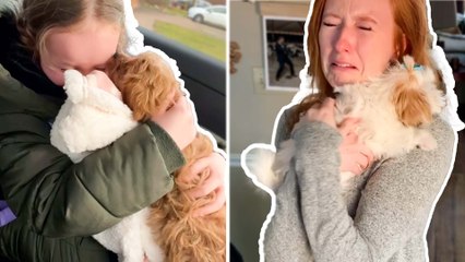 Tải video: Puppy Surprises: Heartwarming Moments of Joy and Love